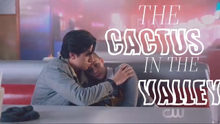 cactus in the valley | betty + jughead (bughead)