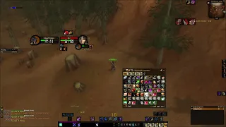 First PvP Encounter on my Druid