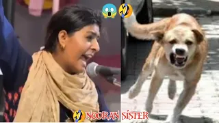nooran sister || dama dam mast kalandar || comedy video