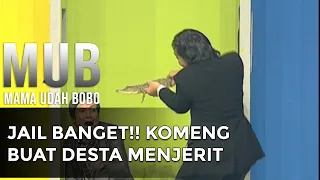 JAIL BANGET!! KOMEN BUAT DESTA MENJERIT - MAMA UDAH BOBO