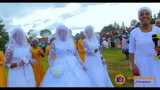 wedding at kimawit