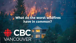 What do the most destructive wildfires have in common?