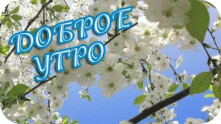 Доброе утро! ❤️ Утра доброго! ❤️ Утра светлого! ❤️ Замечательное пожелание ❤️Good morning! ❤️