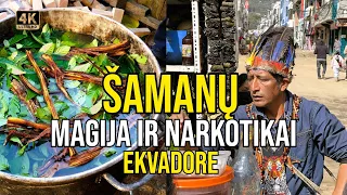 Kelionė į Ekvadorą (3). Šamanų magija, blogųjų dvasių išvarymas ir kvaišalai (Ayahuasca)