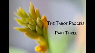 The Tarot Process: Part Three
