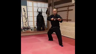 Bo Jutsu  -  Bujinkan Tenryu Dojo