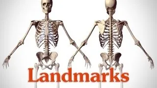Landmarks of the Human Body