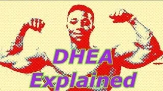 DHEA Explained - Bodybuilding Tips To Get Big