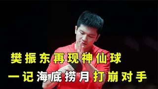 樊振东再现神仙球，一记海底捞月，直接将对手心态打崩【KK】