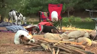 Saburu Commericial Camping Slow Motion 2x