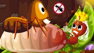 Baby Panda Ant Colonies - Fun Explore & Play Funny Wild Ants Cartoon Animation Games Learn Ant Life