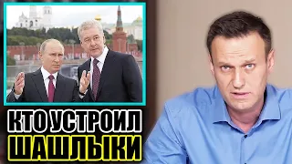 Шашлыки и пикники. Навальный