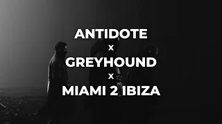 Antidote x Greyhound x Miami 2 Ibiza | Renin Mashup