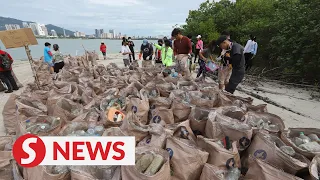 Garbage-filled Gazumbo Island next to Penang Bridge receives big clean-up from volunteers