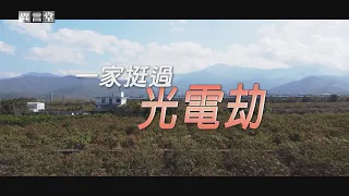 【民視異言堂】光電擾農民，枋寮果農上百棵果樹，慘遭業者誤砍、夷為平地，一家人化危機為轉機