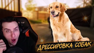 HELLYEAHPLAY СМОТРИТ НА ДРЕССИРОВКУ СОБАК