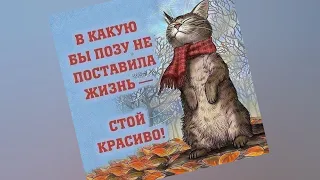 В какую бы позу не поставила жизнь - свой красиво! 👍👌😉 #анекдоты #юмор