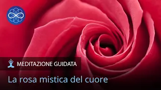 Meditazione per aprire il cuore - La Rosa Mistica del Cuore