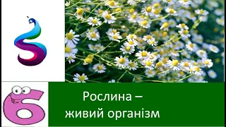 Рослина – живий організм