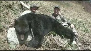 Black bear hunting in B.C.