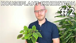 Houseplant Exhibition No. 2