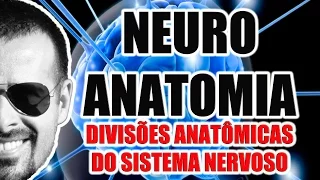 Neuroanatomia - Divisões anatômicas do Sistema Nervoso (SNC, SNP e SNA) - VideoAula 068