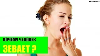 Почему человек зевает?