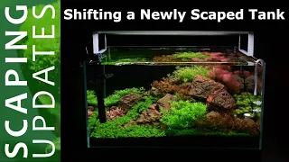 2ft (60cm) aquascape setup| How to shift aquascape without dismantling| Nature Aquarium setup tips