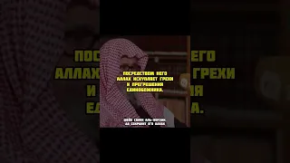 ДОСТОИНСТВА ЕДИНОБОЖИЯ И ИСКРЕННОСТИ / Шейх Салих аль-Фаузан