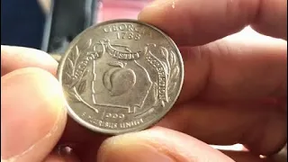 Falling in love with  American Quarters