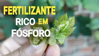 FERTILIZANTE  Rico em FÓSFORO da Yoorin para Nutrição das Videiras