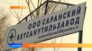 «Саранский ветсанутильзавод» снова продают «с молотка»