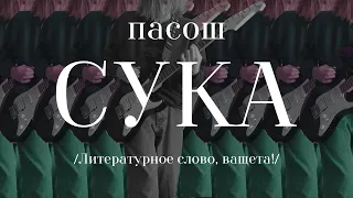 пасош - сука (cover)