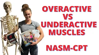 Overactive & Underactive muscles NASM-CPT MUST KNOW | Show Up Fitness has helped over 1,400 pass