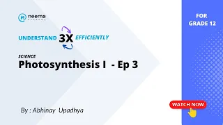 Photosynthesis Part 1 E3 - Grade 12