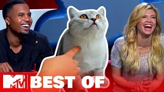 Ridiculousnessly Popular Animal Videos 😺 #AloneTogether