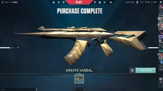 BUYING THE ARAXYS VANDAL AFTER 4 MONTHS OF WAITING