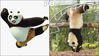 Kung Fu Panda Characters In Real Life