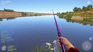 Russian Fishing 4 Tips and Tricks to using a Bolognese Rod/Rig with spot at Akhtuba as example