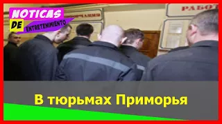 В тюрьмах Приморья откроют спортбары для заключенных