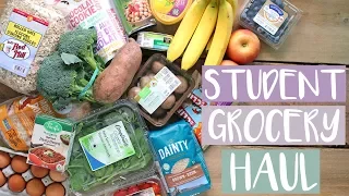 STUDENT GROCERY HAUL | HEALTHY MEAL IDEAS