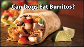 Can Dogs Eat Burritos