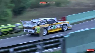 HillClimb Masters (2018) - Nikolay Zlatkov Audi Quattro S1