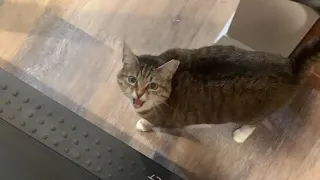 And THIS is why I can’t use the treadmill