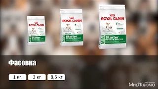 Обзор корма Royal Canin Mini Starter