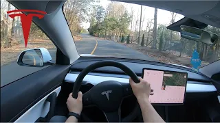 2021 TESLA Model 3 POV Drive | German and Electric killer!!