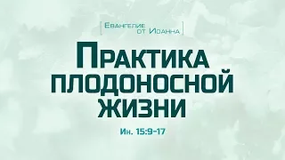 Ев. от Иоанна: 85. Практика плодоносной жизни (Алексей Коломийцев)