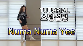 Numa Numa Yee Line Dance|💕TUTORIAL|💕스텝설명|초급수업라인댄스