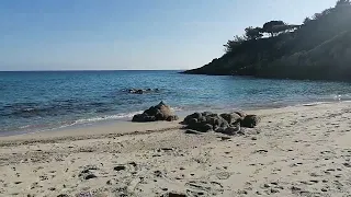 St.Tropez /Ramatuelle - Plage de L'Escalet