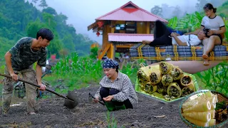 Grow cucumbers and harvest vegetables, cook  | Sang vy family farm